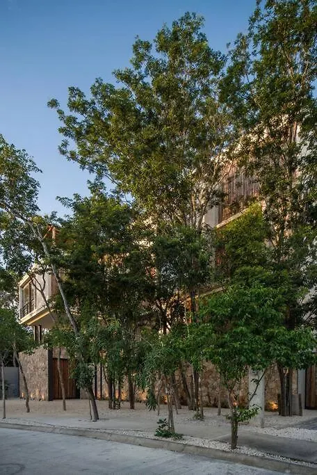 Beyond Amazing 3Bd 2Br/ Balcony Apartment Tulum
