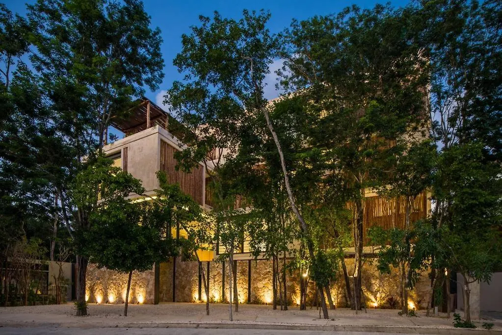 Beyond Amazing 3Bd 2Br/ Balcony Apartment Tulum Mexico